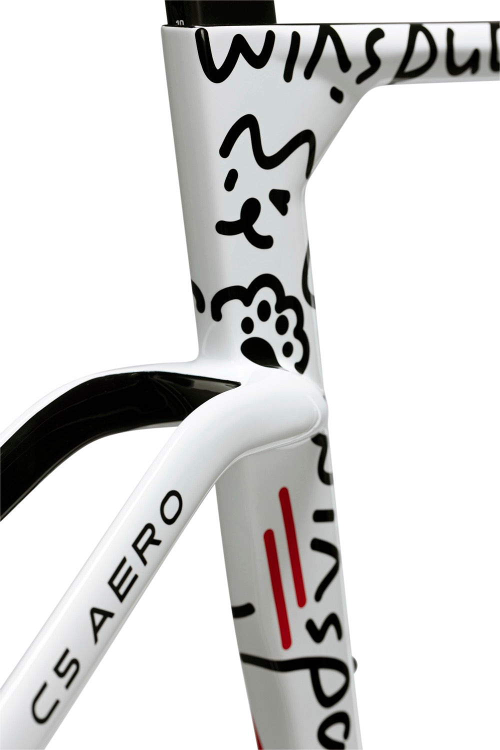 Winspace C5 Aero Carbon Frameset