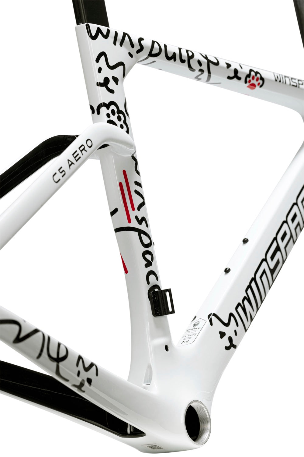 Winspace C5 Aero Carbon Frameset