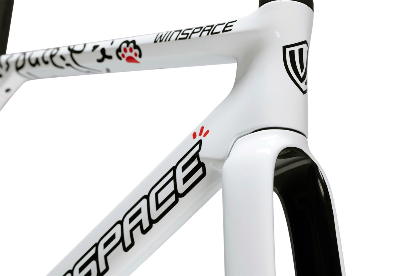 Winspace C5 Aero Carbon Frameset