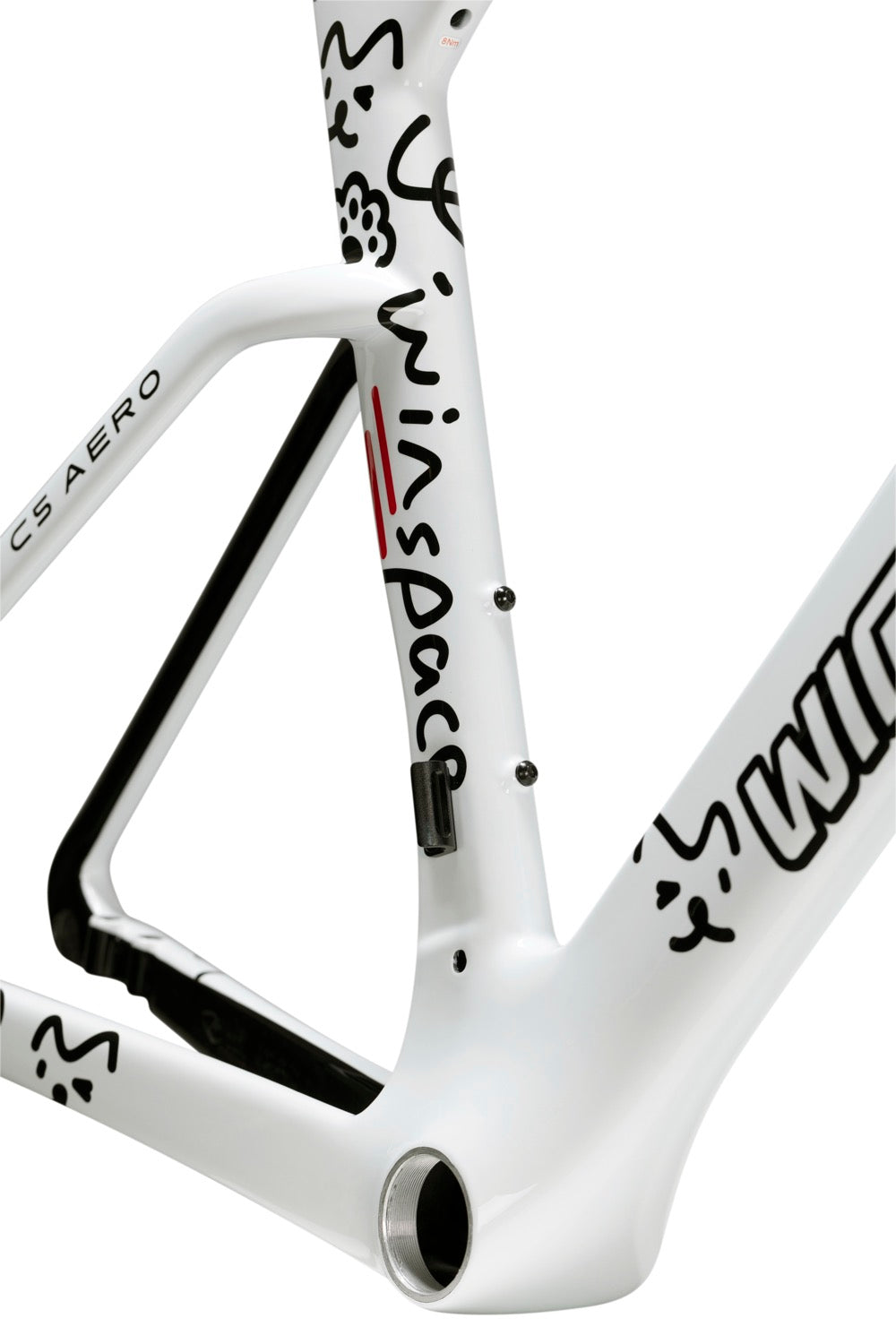 Winspace C5 Aero Carbon Frameset