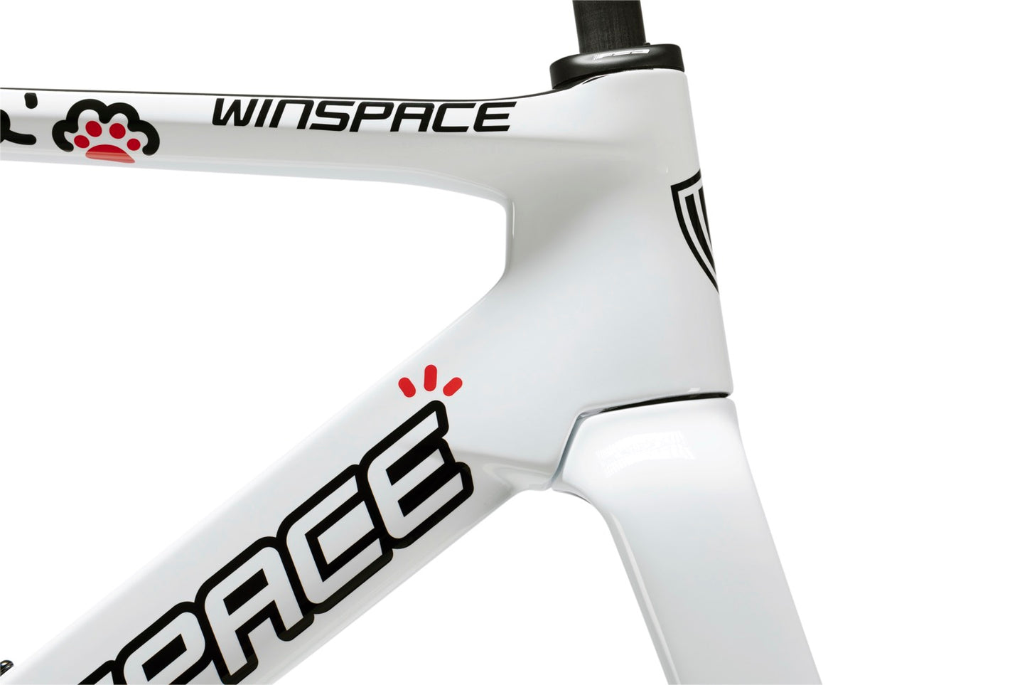 Winspace C5 Aero Carbon Frameset