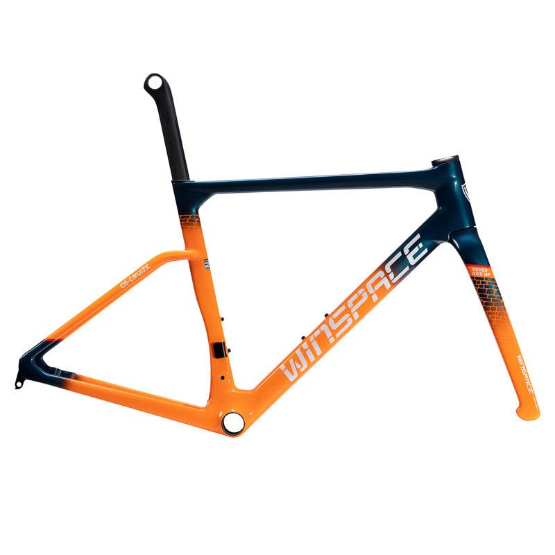 C5 Winspace Carbon Frameset Endurance Road Bike