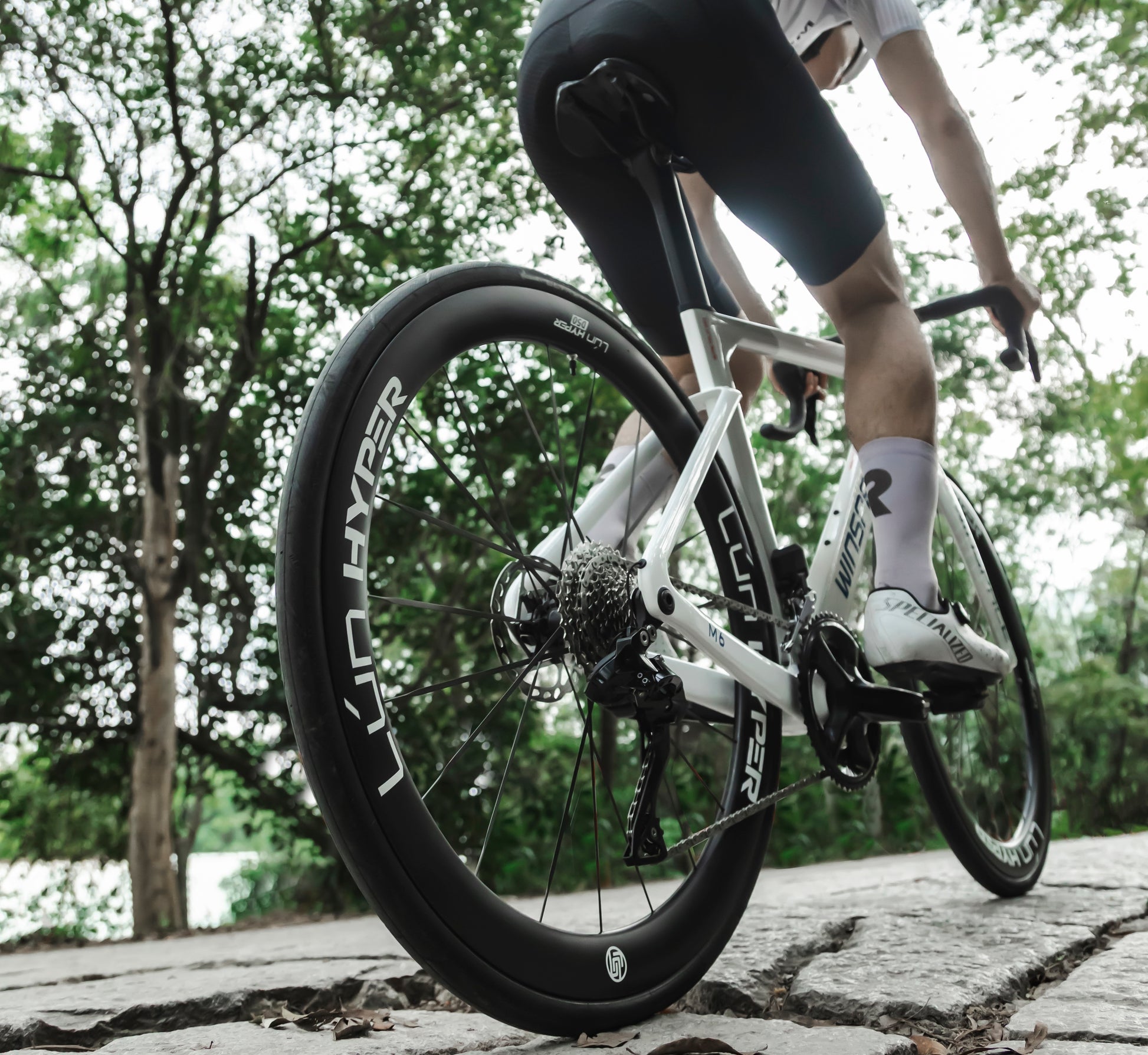 Race-Level Stiffness & Structure