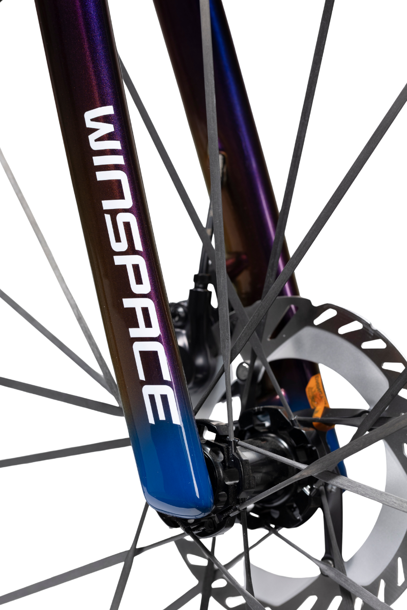 SLC5 Winspace Carbon Frameset
