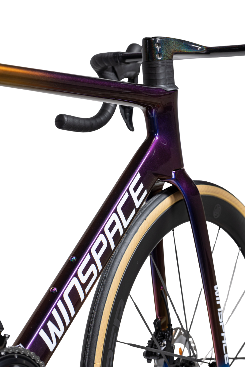 SLC5 Winspace Carbon Frameset