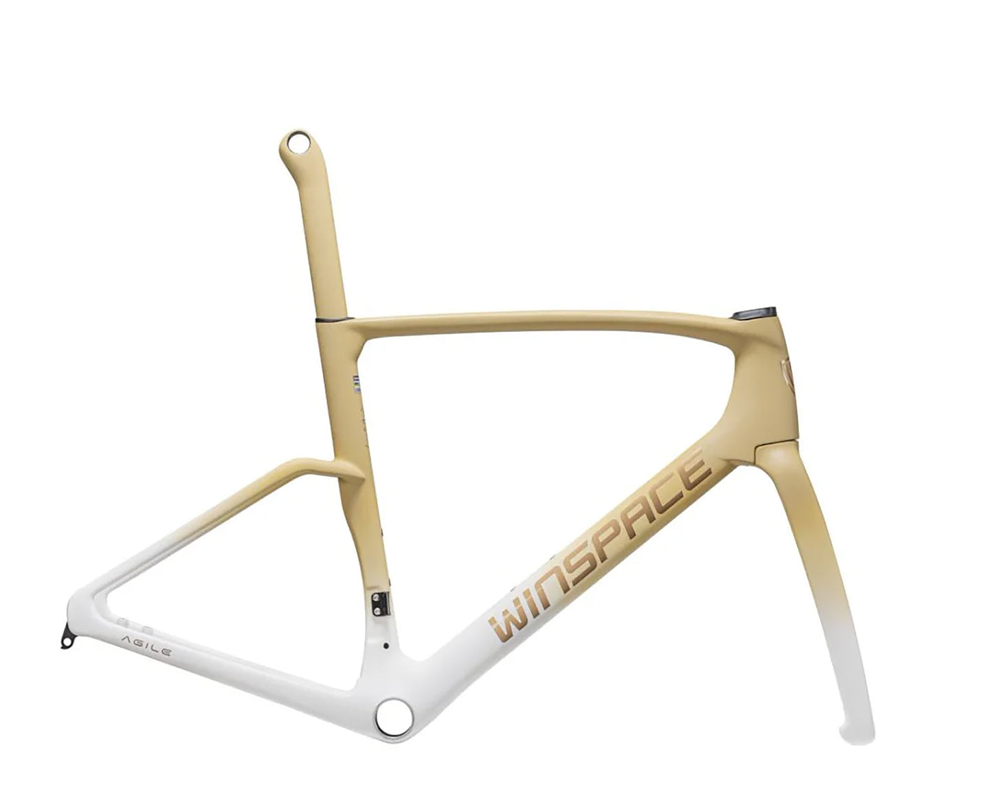Agile Winspace Carbon Frameset - Performance Race Road Bike