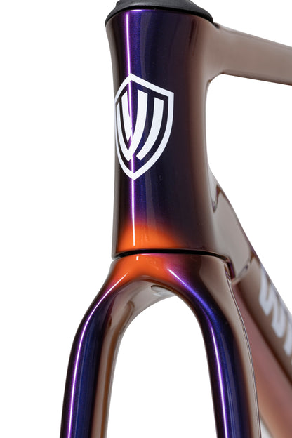 SLC5 Winspace Carbon Frameset