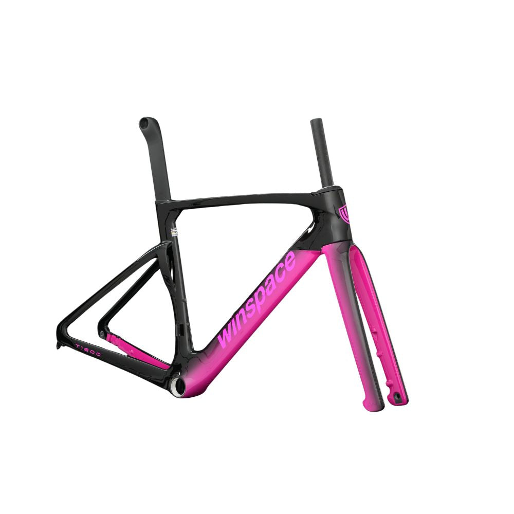 T1600 Winspace Carbon Frameset