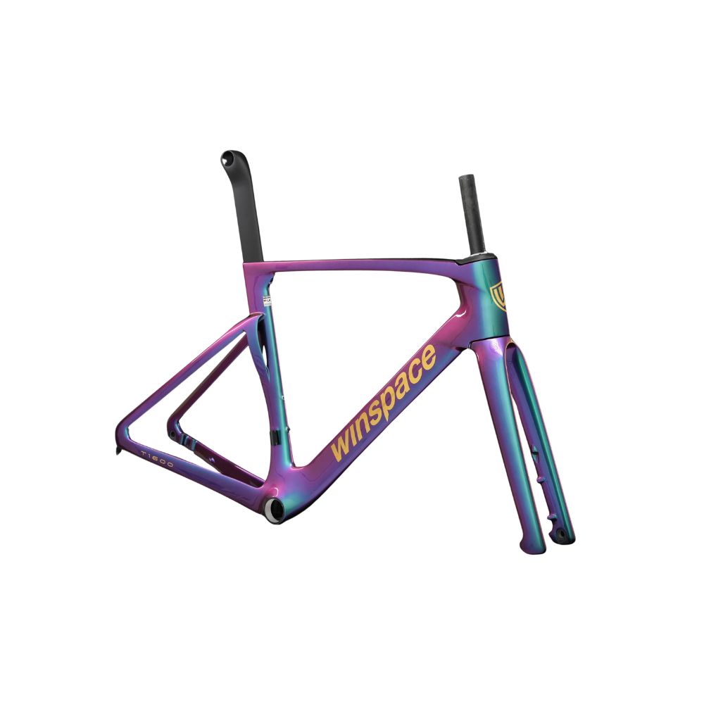 T1600 Winspace Carbon Frameset