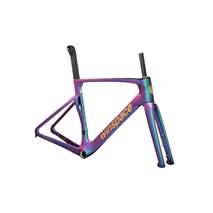 T1600 Winspace Carbon Frameset